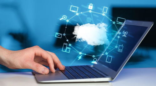 第三方軟件檢測機構的服務流程與選擇策略